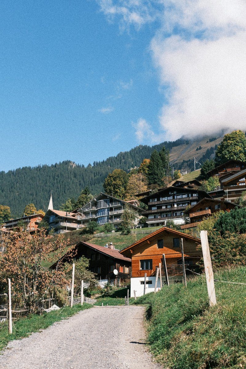 Chemin de terre qui monte vers des chalets sur une pente boisée